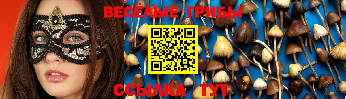 Кириши  Псилоцибиновые грибы ЛСД  Вход с VPN  Галлюциногенные грибы Cubensis 